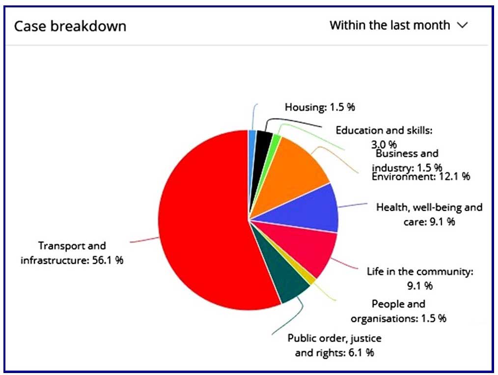 Councillor case piechart Feb 2021