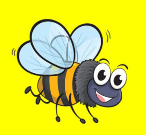 Bee conservation