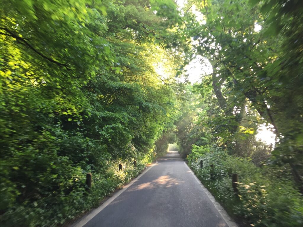 Wainsford Road